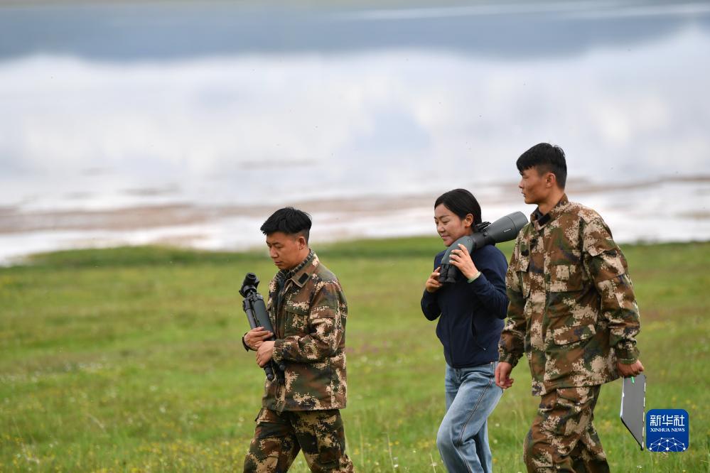 恒锋娱乐g22官方网站